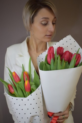 тюльпан красный